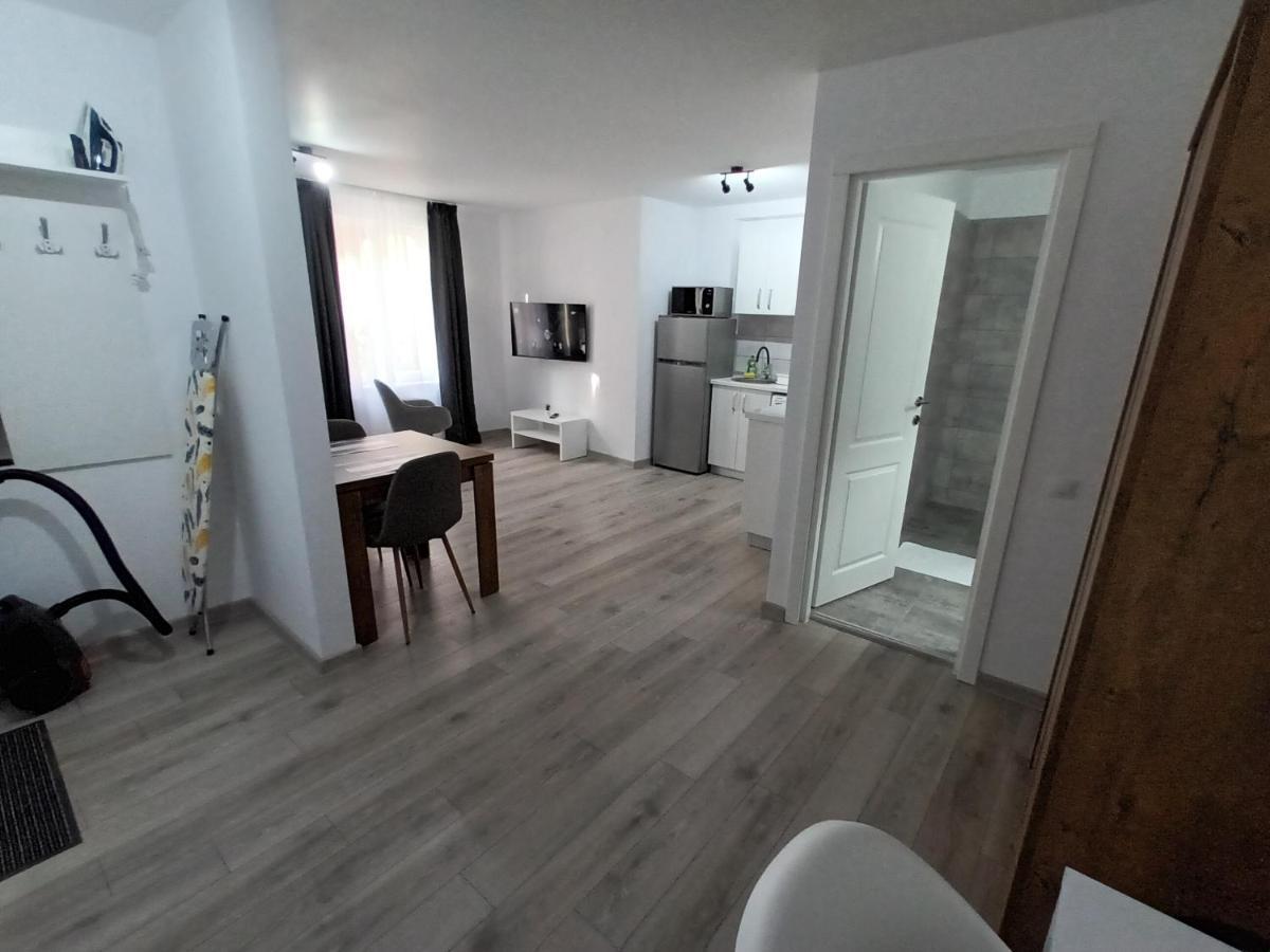 Old Town Studio Apartments Baia Mare Exterior photo